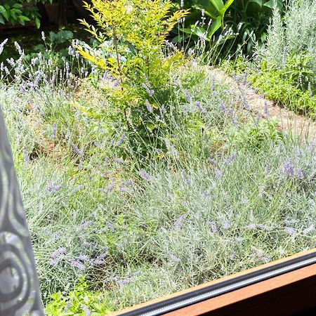 Garden Apartment Vela Luka Ngoại thất bức ảnh
